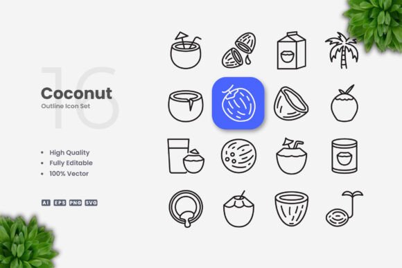 Coconut Icons: Simple, Clean, and Versatile Design